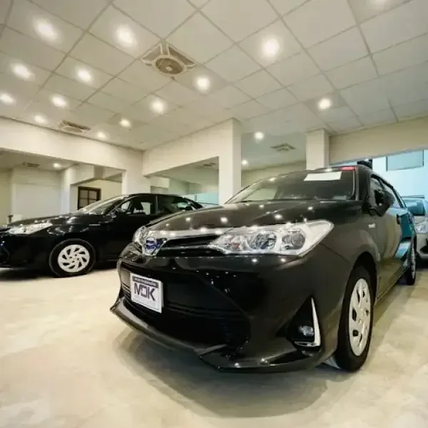 MDK Car Stop